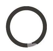 Spiral Wound Retaining Rings